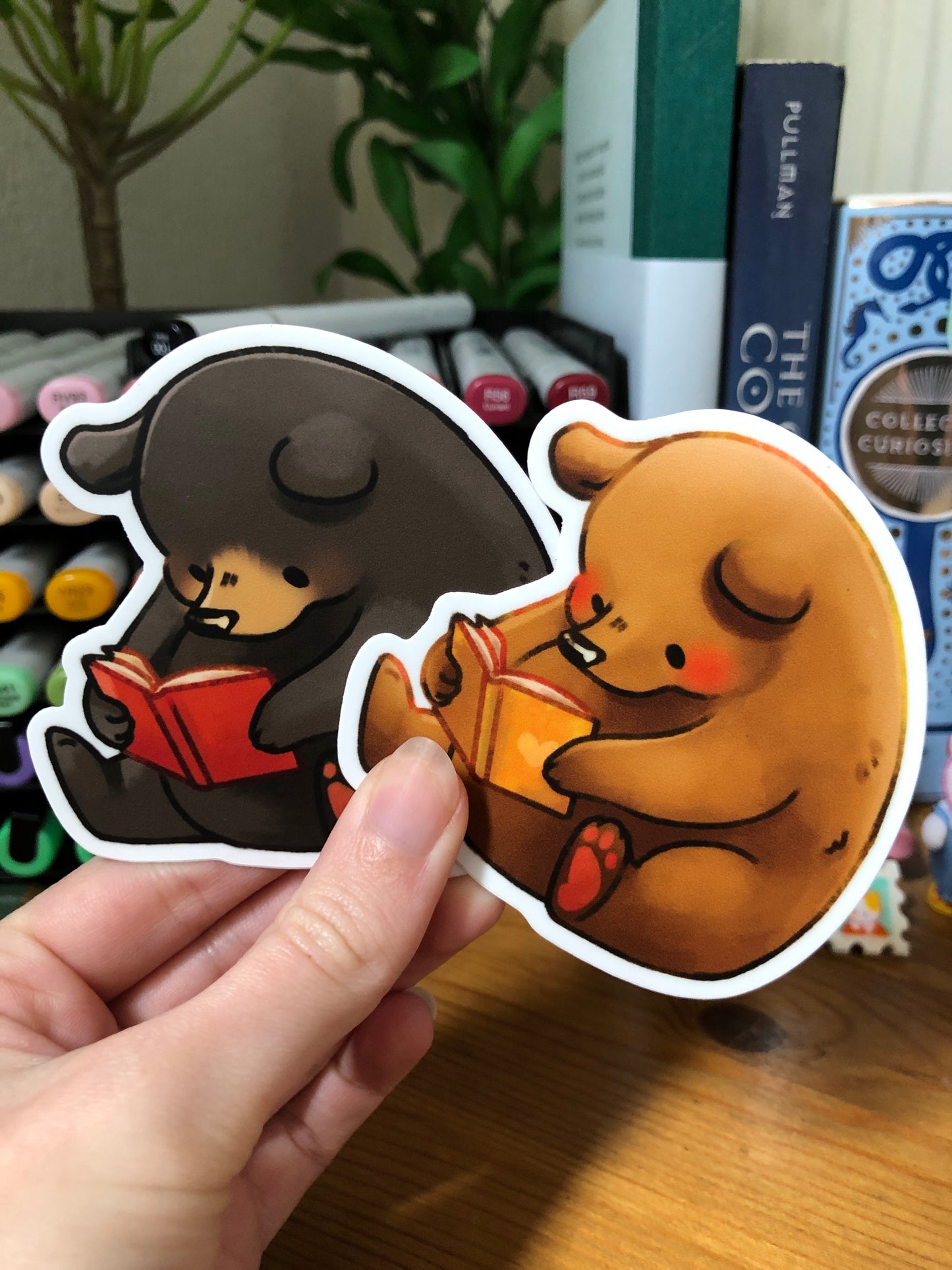 Chonky bear reading a book sticker | Matte vinyl
